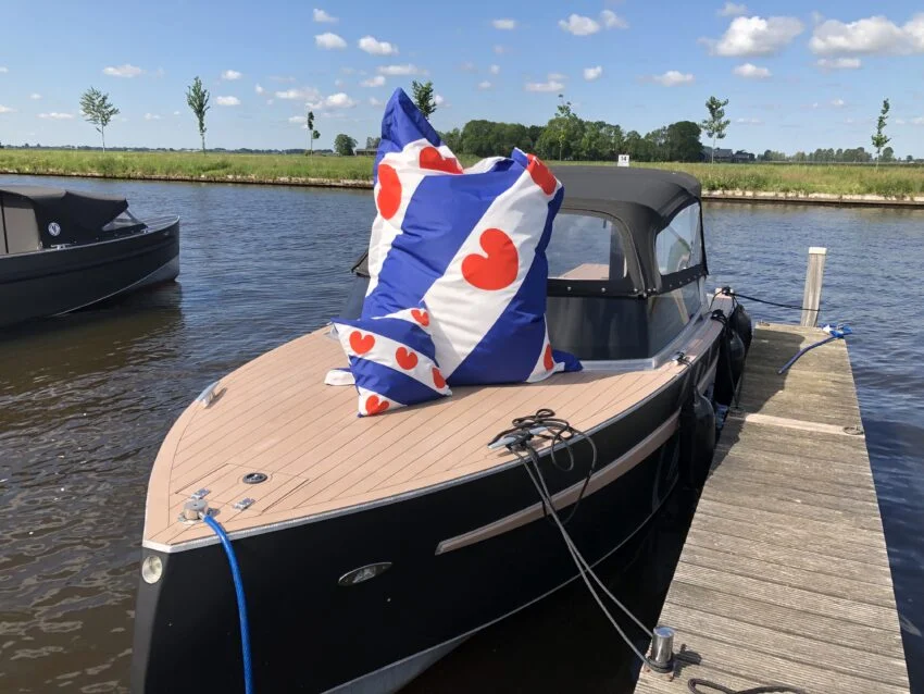 Buitenkussen Friesland Friese Vlag - Afbeelding 3