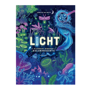 Licht – Jennifer N.R. Smith