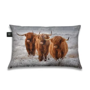 Warmtekussen Drie Schotse Hooglanders